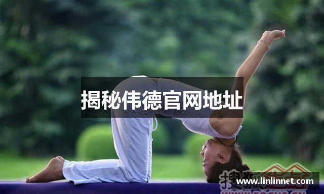 揭秘伟德官网地址